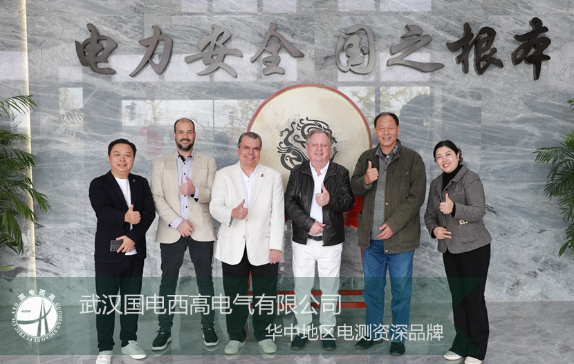 以實力為基，以誠意為橋：國電西高喜迎國際核心客戶深度探訪